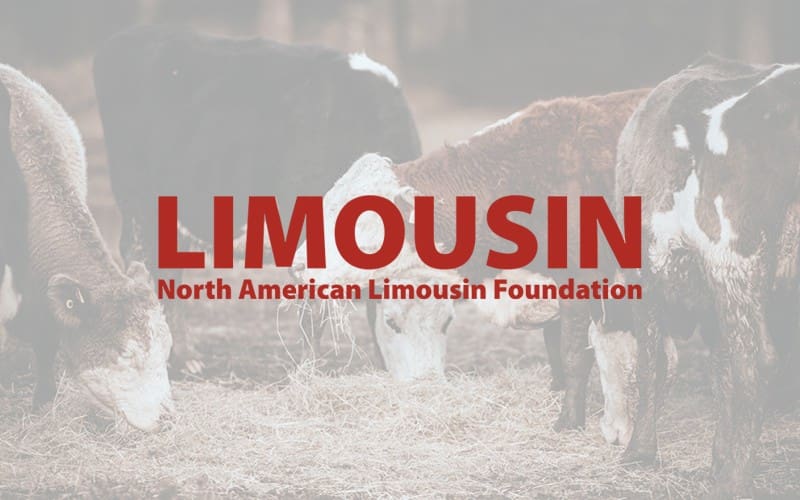 North American Limousin Foundation