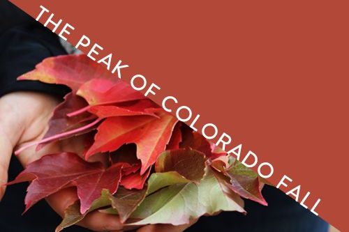 Colorado Fall