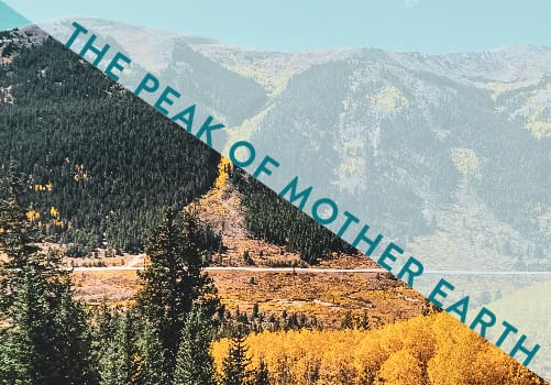 SLDS_April 2020 Blog-04